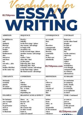 How Big Is an Essay: Exploring the Dimensions of Academic Writing